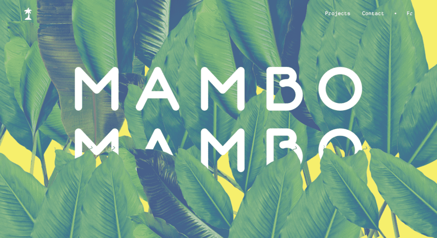 Mambo Mambo website