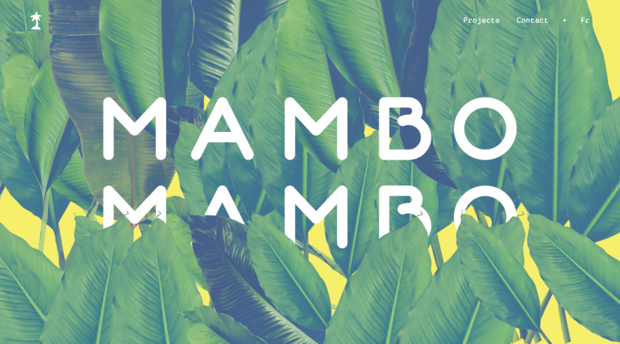 Mambo Mambo website