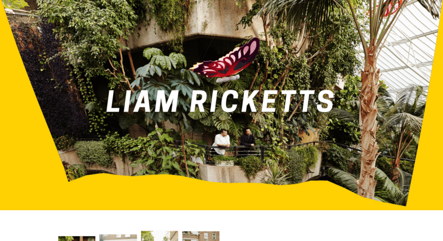 Liam Ricketts website