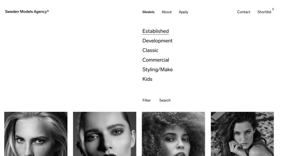 Sweden Models Agency website