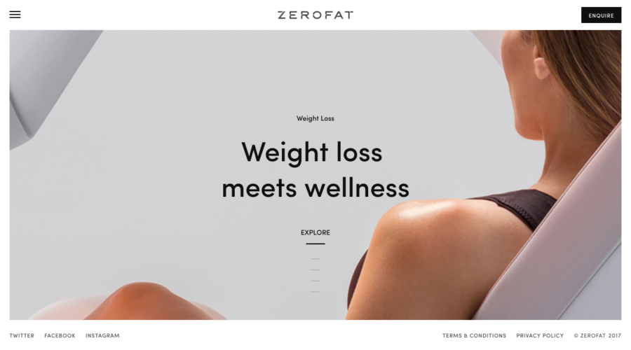 ZeroFat website