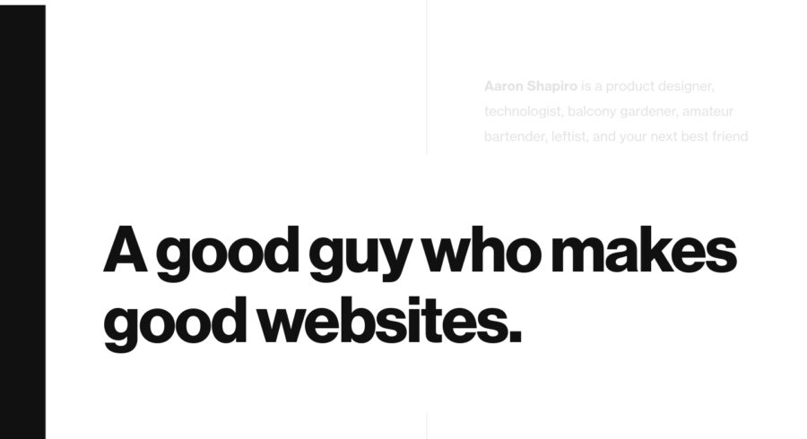 Aaron Shapiro website