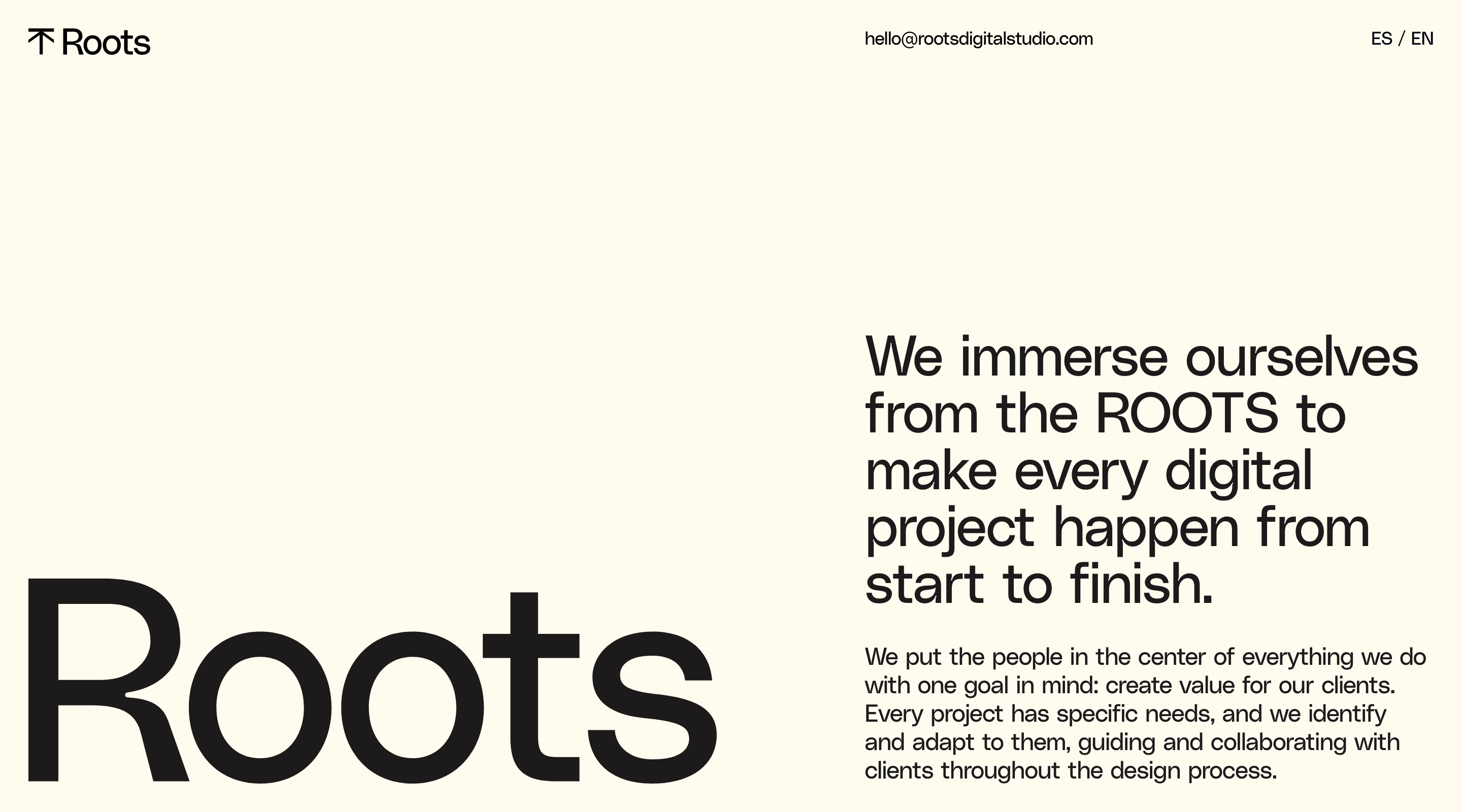 Roots Digital Studio website