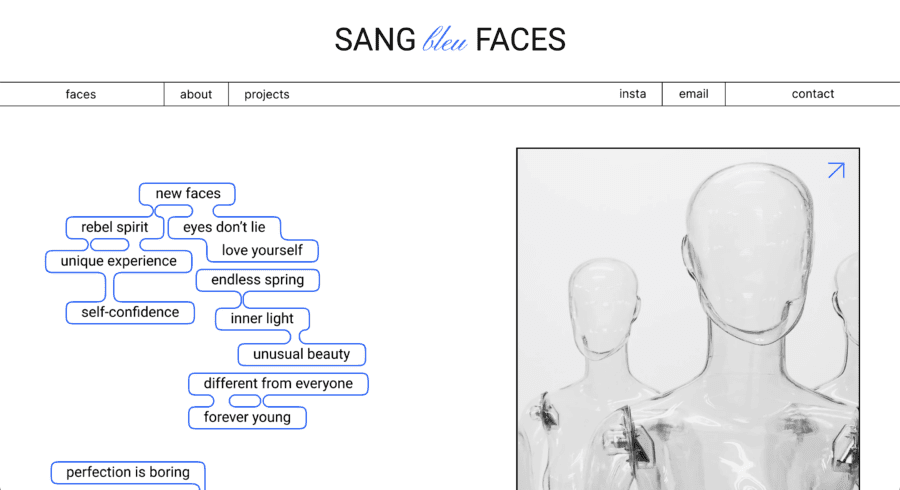 Sang Bleu Faces website