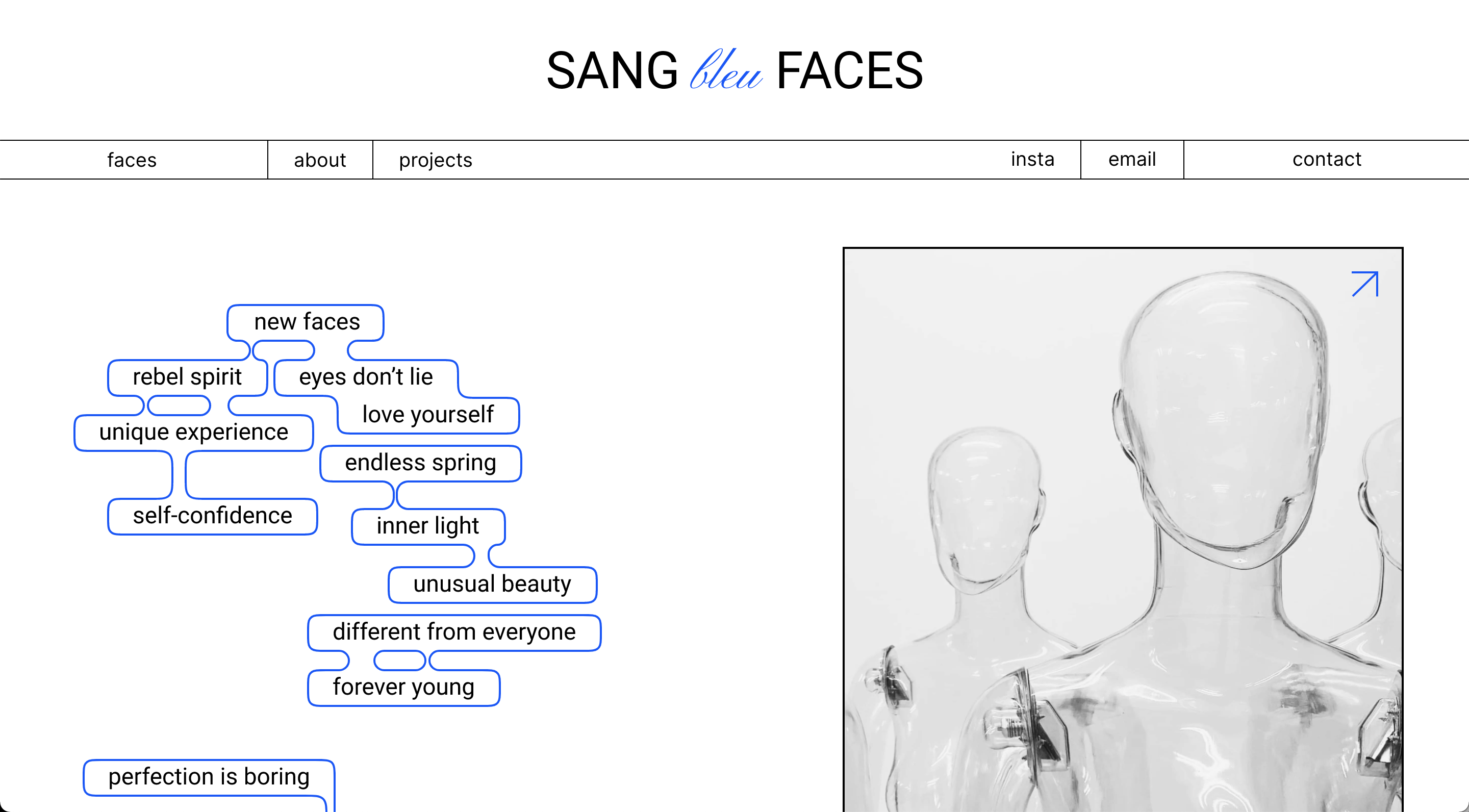 Sang Bleu Faces website