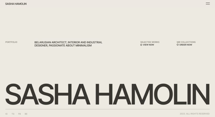 Sasha Hamolin website