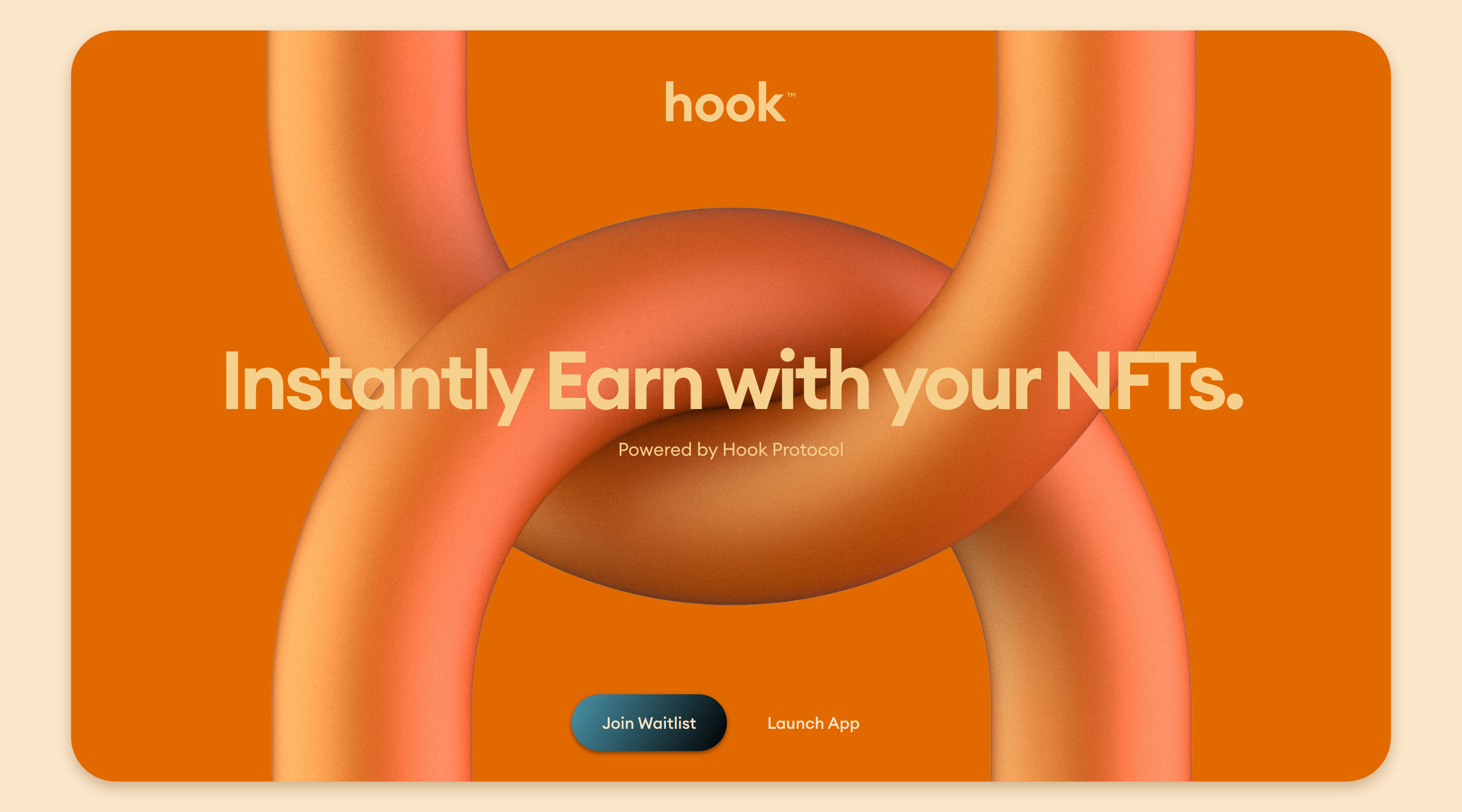 Hook™ website