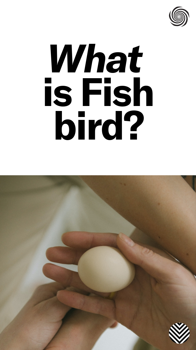 Fishbird website