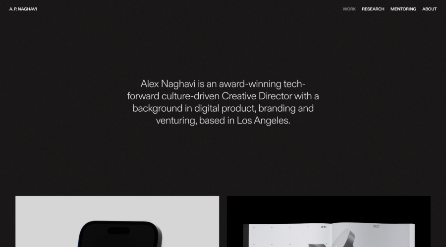 Alex Naghavi website