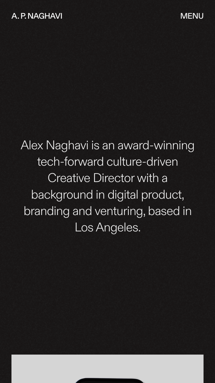 Alex Naghavi website