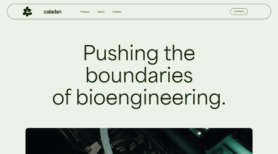 Caladan website