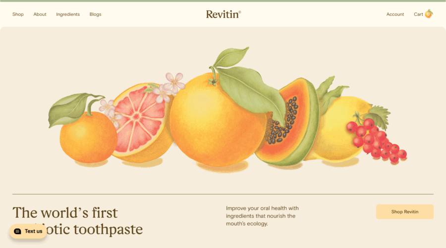 Revitin website