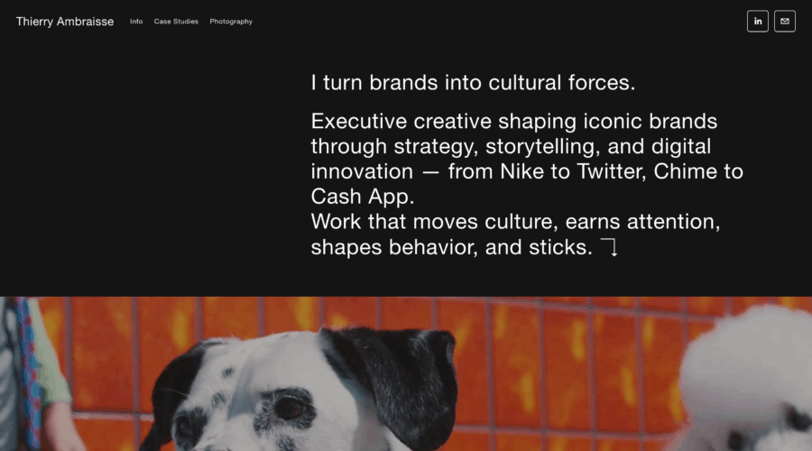 Thierry Ambraisse website