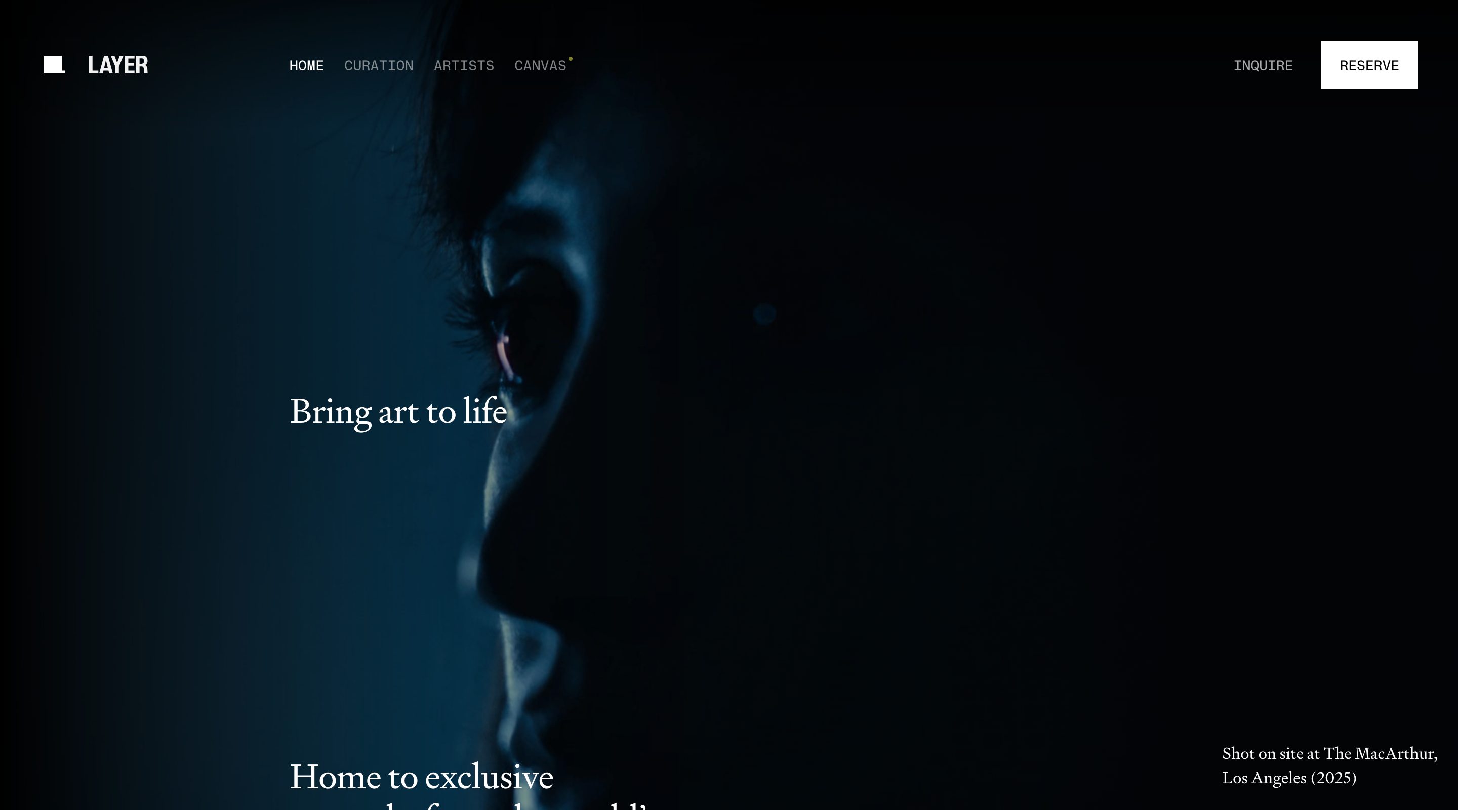 Layer website