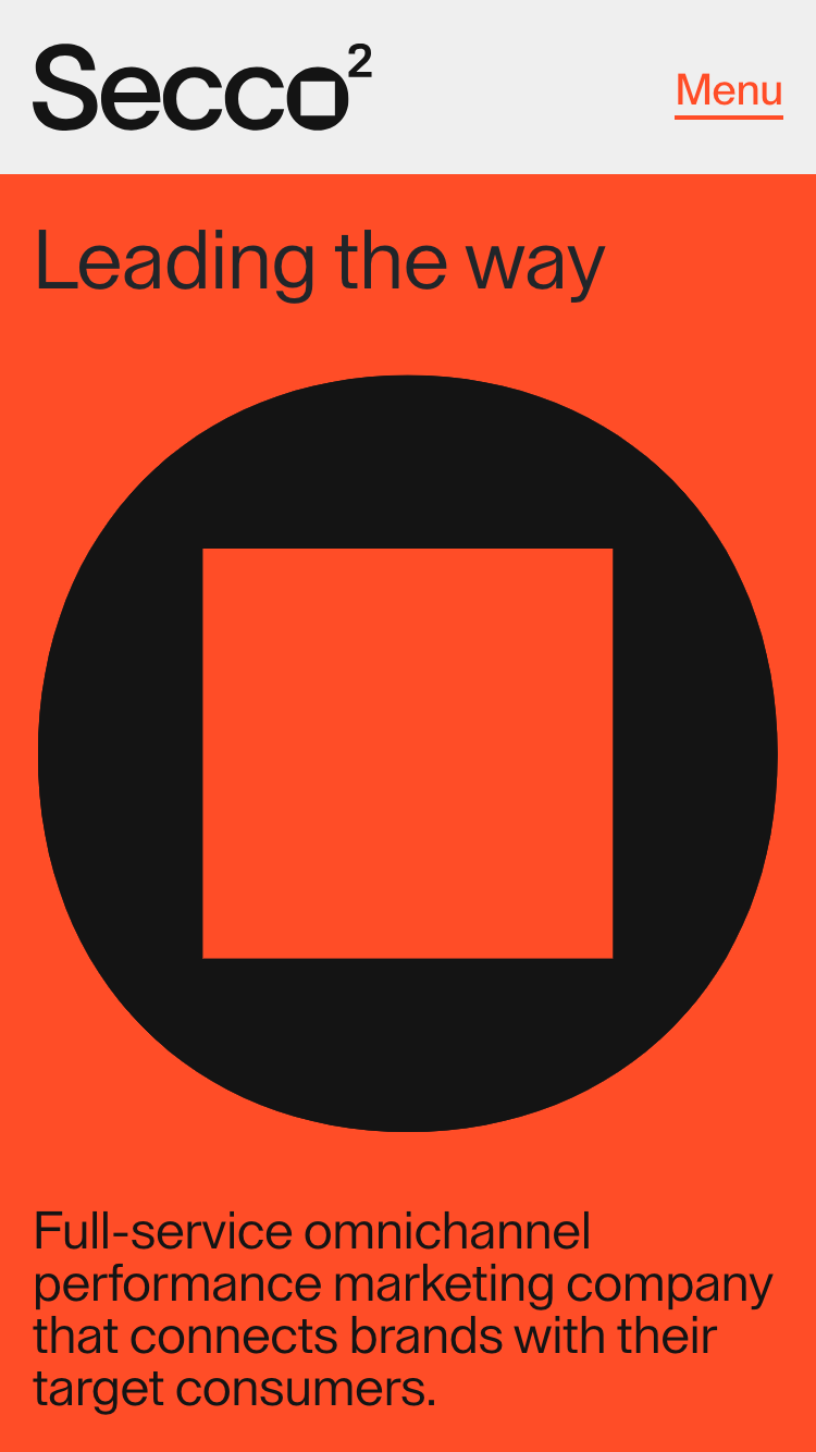 Secco Squared website