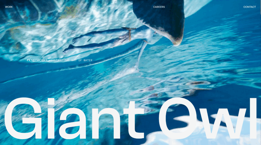 Giant Owl website