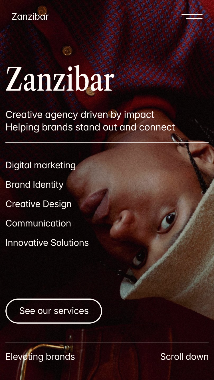 Zanzibar website