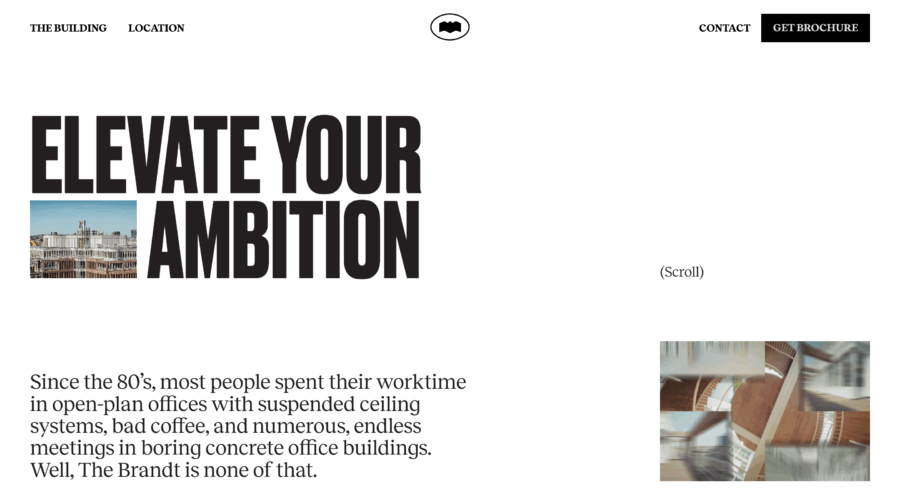 The Brandt website