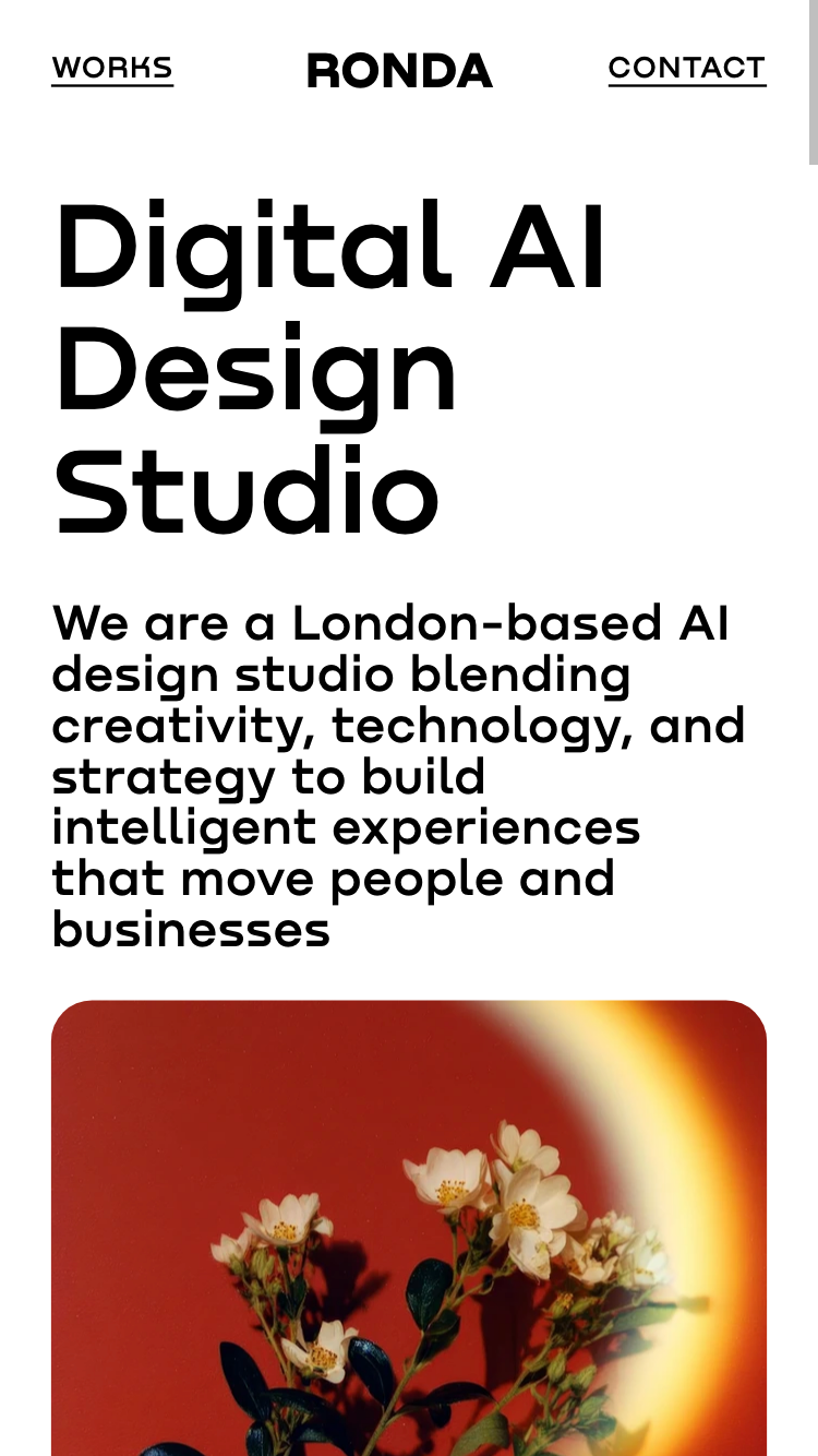 RONDA website