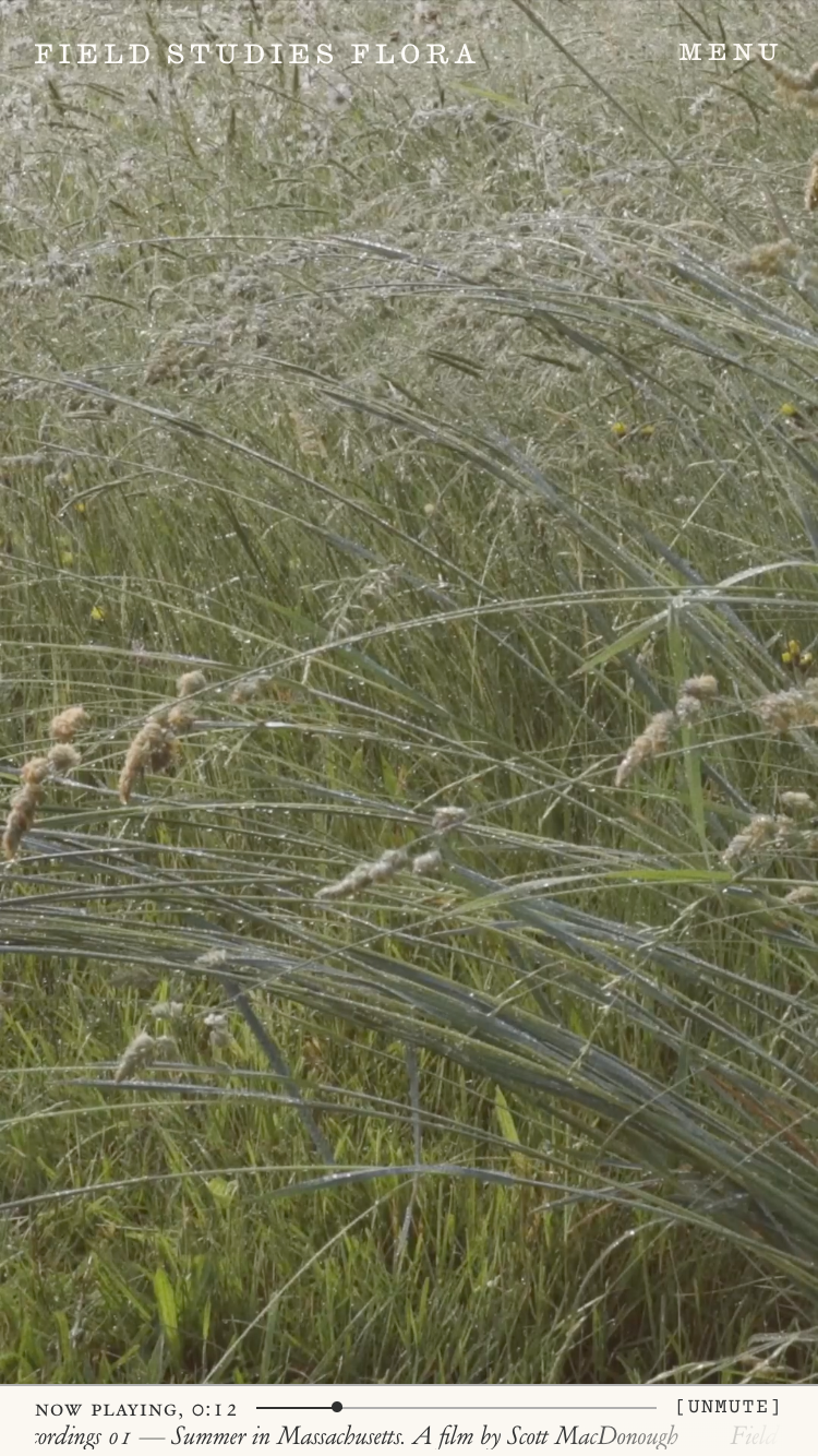 Field Studies Flora website