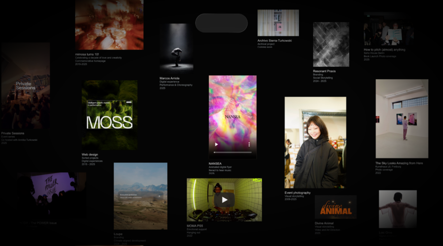 Danilo Sierra website