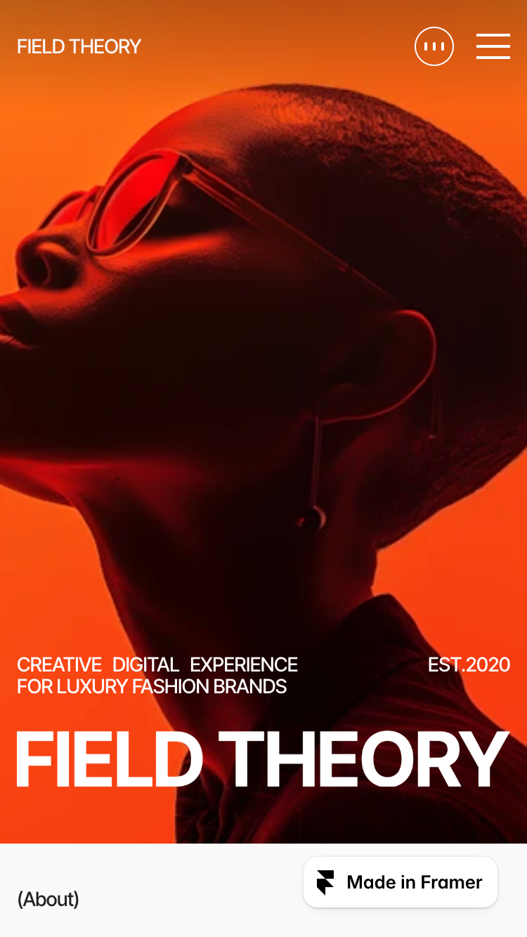 Field Theory website