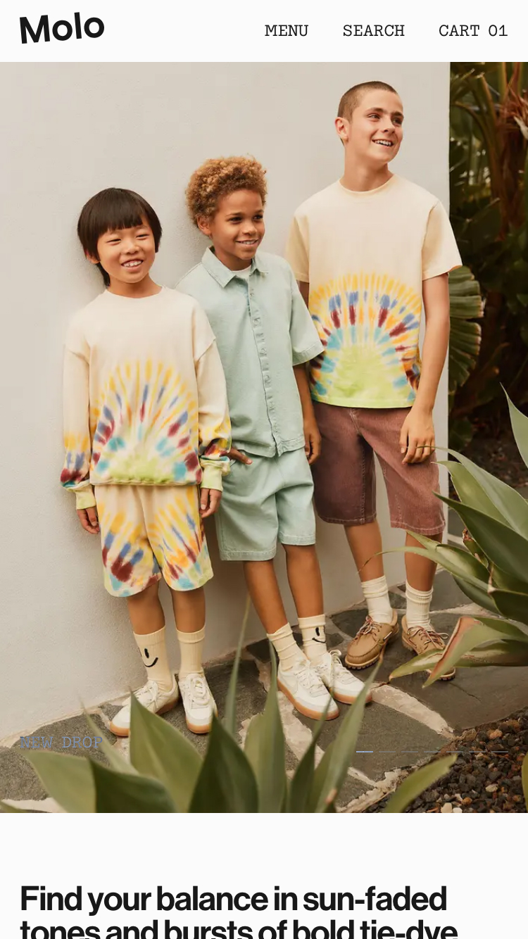 Molo website