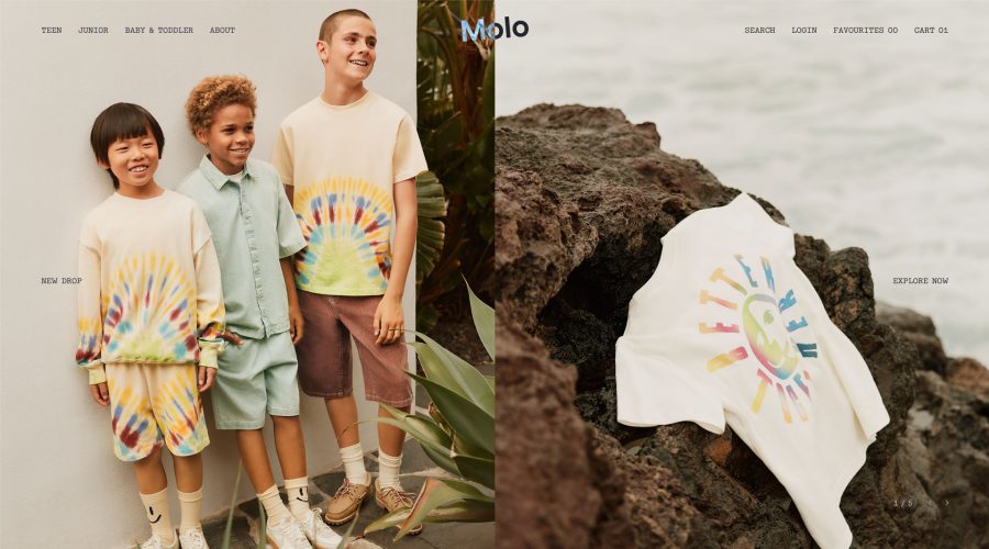 Molo website
