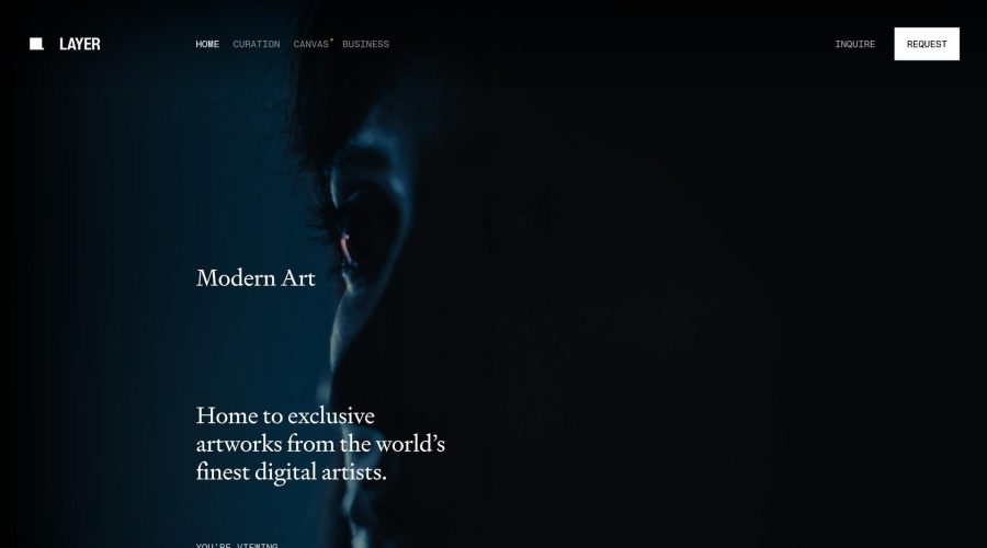 Layer website
