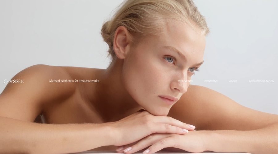 Odyssee website